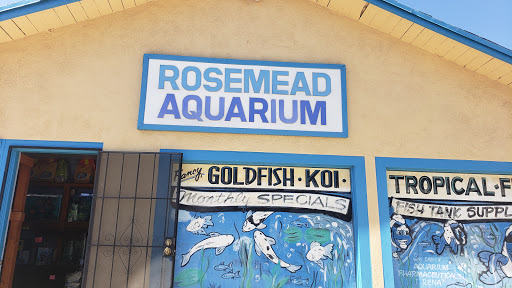 Tropical Fish Store «Rosemead Aquarium», reviews and photos, 9123 Valley Blvd, Rosemead, CA 91770, USA