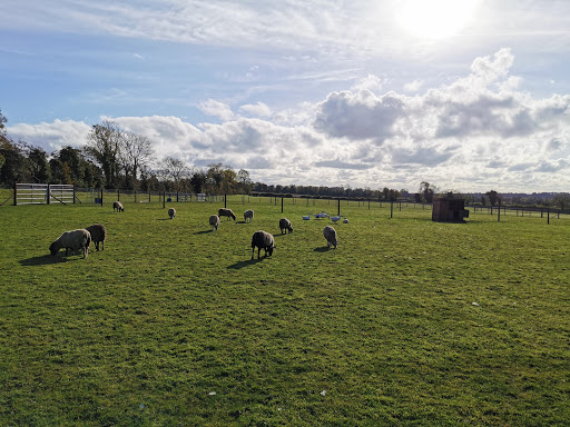 Red Mountain Open Farm