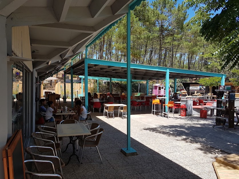 Sealife à Lège-Cap-Ferret (Gironde 33)