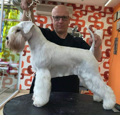 El Perro Loco - Servicios para mascota en Granada
