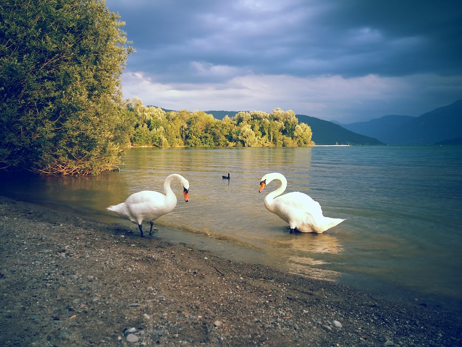 Foto di Choller Zug nudist Beach con una superficie del sabbia beige