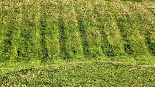 Nature Preserve «Wolf Rock Nature Preserve», reviews and photos, 251 Clover Mill Rd, Storrs, CT 06268, USA