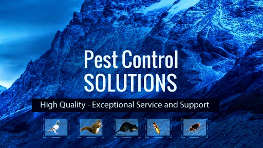 Pest control bedbugs Vancouver