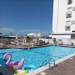 Photo n°1 de l'avis de Fabio.e fait le 23/08/2023 à 13:41 sur le  Hotel New Bristol Sport & Domus Mea à Cesenatico