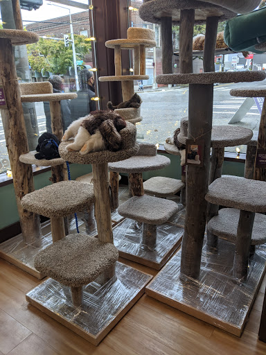 Pet Supply Store «All The Best Pet Care», reviews and photos, 1909 NW Market St, Seattle, WA 98107, USA