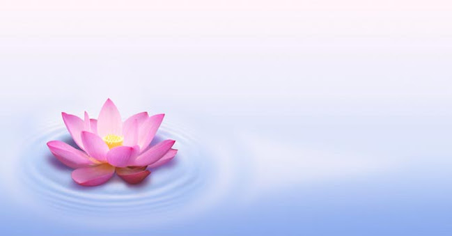 Teléfono de Psicologia Integral