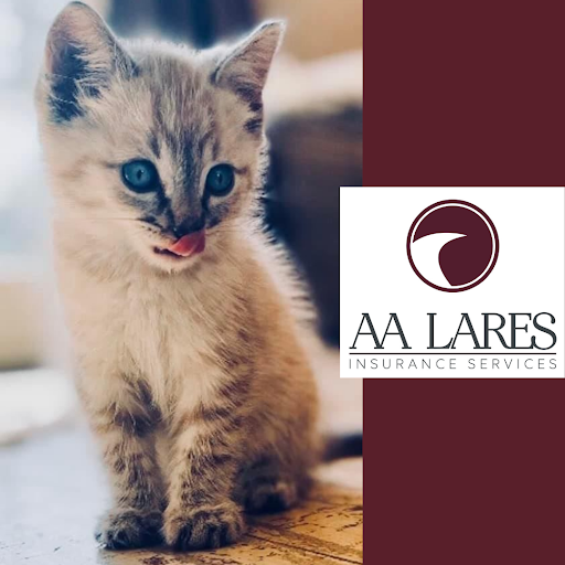 Auto Insurance Agency «AA Lares Insurance Services, Inc.», reviews and photos