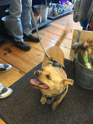 Pet Supply Store «The Fish & Bone, Portland ME», reviews and photos, 195 Commercial St, Portland, ME 04101, USA