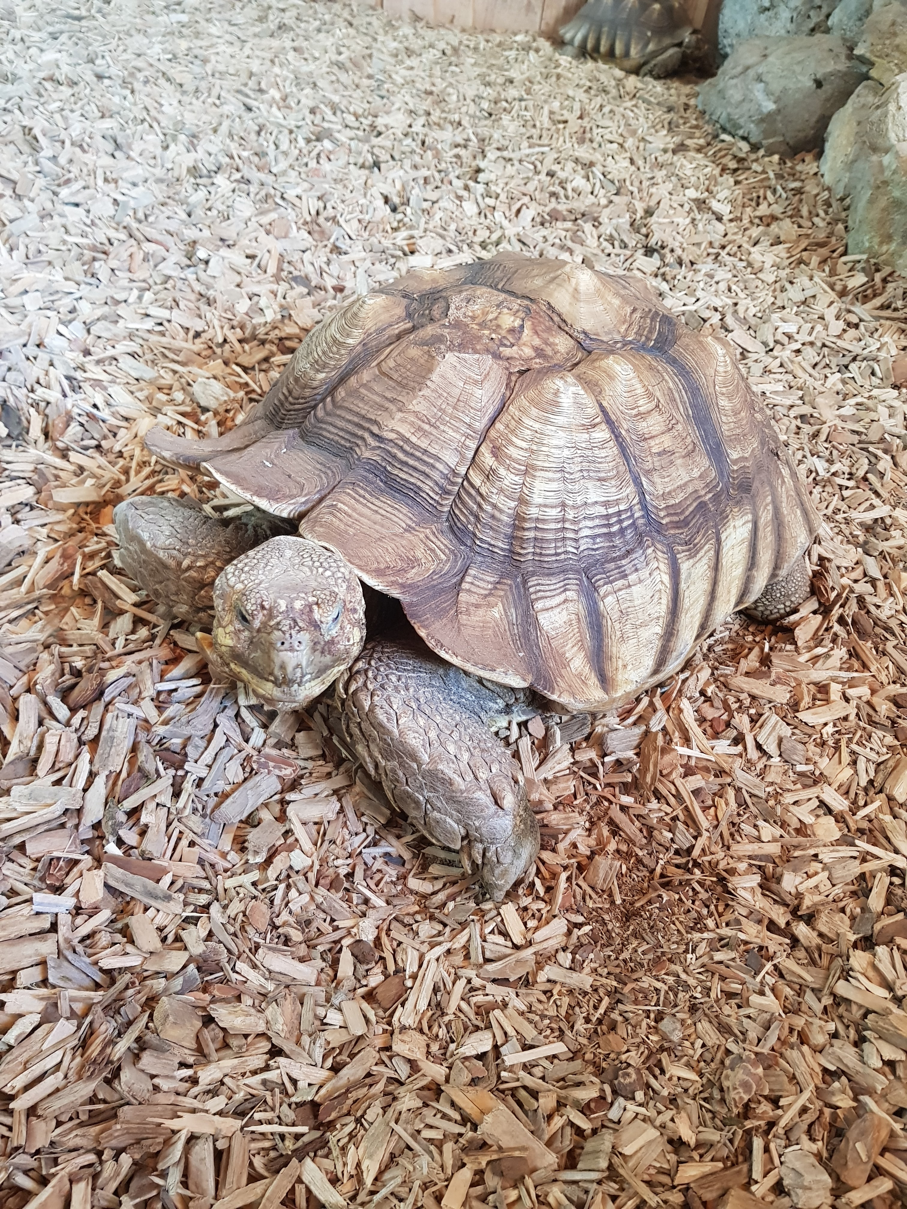 Photo n° 4 de l'avis de Lala.a fait le 24/08/2020 à 19:44