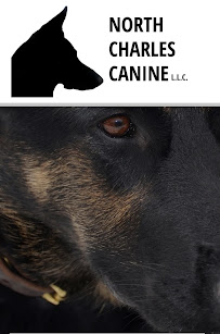 North Charles Canine L.L.C. - Photo 1 - Car repair in , Baltimore