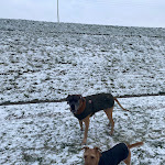 Photo n°1 de l'avis de Ewa.z fait le 04/12/2023 à 15:24 sur le  Zollenspieker Fährhaus Hamburg à Hamburg