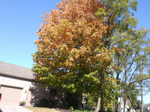 Golf Course «Old Oakland Golf Club», reviews and photos, 11611 E 75th St, Indianapolis, IN 46236, USA