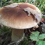 Photo n°2 de l'avis de Martie.a fait le 16/08/2023 à 19:36 sur le  Hotel Restaurant Herrloh à Winterberg