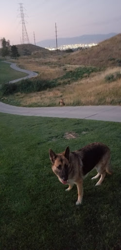 Golf Course «The Ridge Golf Course», reviews and photos, 5055 Westridge Blvd, West Valley City, UT 84118, USA