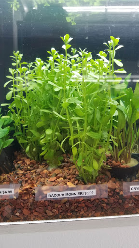 Pet Store «Pet Town», reviews and photos, 7804 Florence Ave, Downey, CA 90240, USA