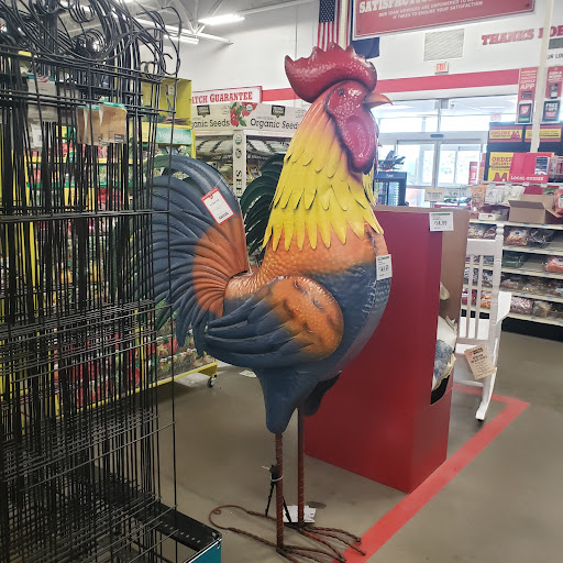 Home Improvement Store «Tractor Supply Co.», reviews and photos, 12891 Quincy St, Holland, MI 49424, USA