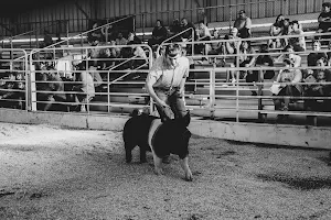 Des Moines County Fair image