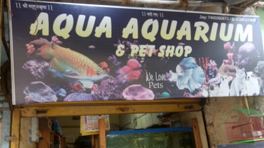 Aqua Aquarium & Pet Shop
