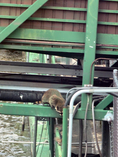 Casino «Par-A-Dice Hotel Casino», reviews and photos, 21 Blackjack Blvd, East Peoria, IL 61611, USA