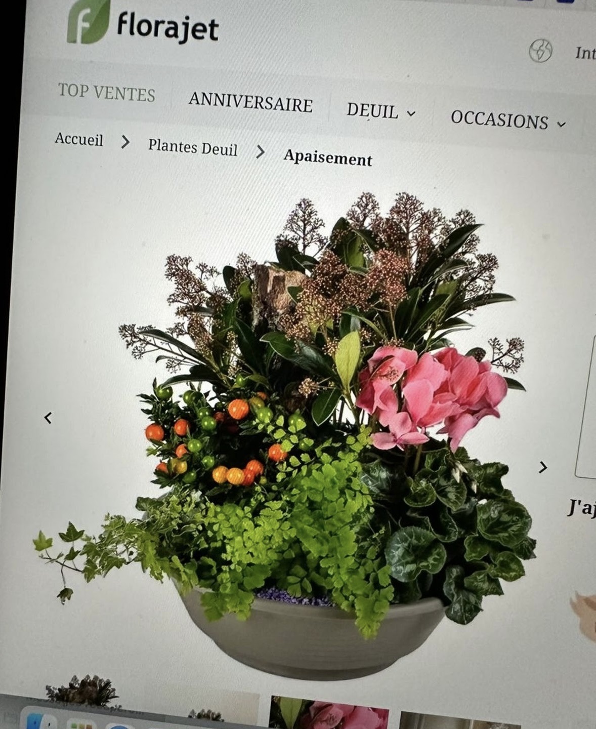 Photo n° 2 de l'avis de Charlene.u fait le 11/10/2023 à 06:40