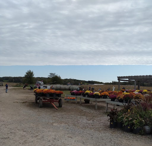 Produce Market «Kroul Farms», reviews and photos, 245 IA-1, Mt Vernon, IA 52314, USA