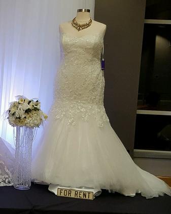 Bridal Shop «Divas Closet Bridal Boutique», reviews and photos, 1034 Merriam Ln, Kansas City, KS 66103, USA