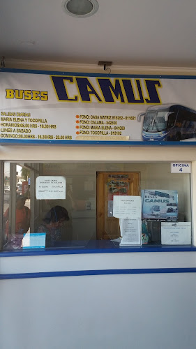 Buses Camus - Servicio de transporte