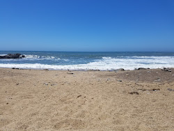 Bean Hollow Beach'in fotoğrafı imkanlar alanı