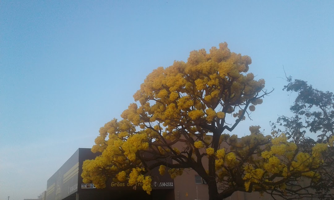 Padaria Grãos de Trigo