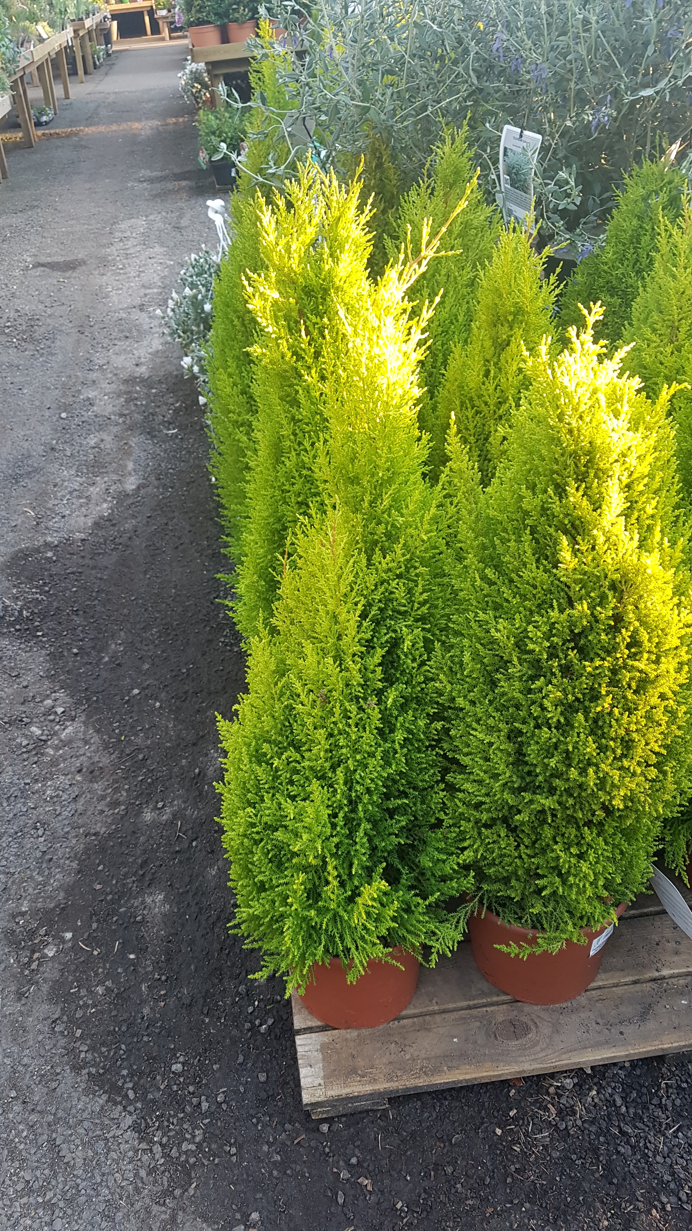 Photo n° 1 de l'avis de antho974. fait le 08/05/2019 à 07:47
