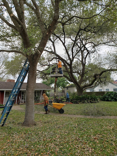 R J K's Tree Trimming & Removal