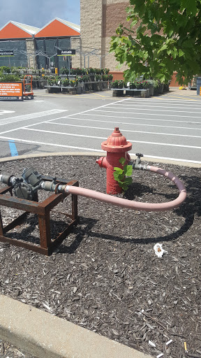 Home Improvement Store «The Home Depot», reviews and photos, 37 Ellisville Towne Centre Dr, Ellisville, MO 63011, USA