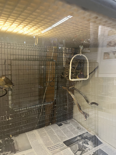 Pet Store «Sierra Fish and Pets», reviews and photos, 601 S Grady Way Suite M, Renton, WA 98057, USA