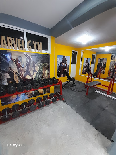 Marvel gym (cehuan) - Juan de La Barrera, Manzana 5, 56334 Chimalhuacán, Méx., Mexico