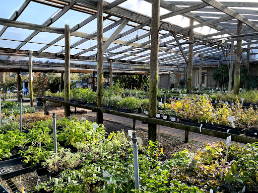 Barton Springs Nursery