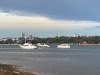 Nield Park Logo, Rodd Point, Australia, Park