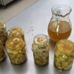 Photo n°14 de l'avis de Kurt.a fait le 18/05/2019 à 21:37 sur le  Agriturismo Ventricelli Fattoria Didattica à Matera