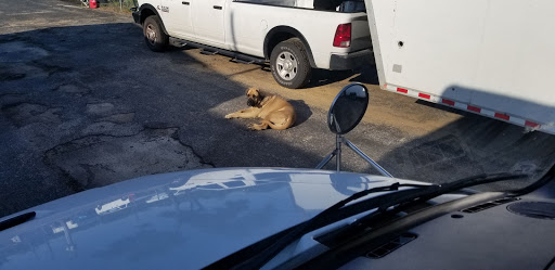 Moving and Storage Service «Bell Brothers Moving, Storage & Delivery, L.P.», reviews and photos, 3909 E 1st St, Fort Worth, TX 76111, USA