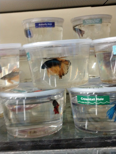 Pet Supply Store «Petco Animal Supplies», reviews and photos, 226 Thornton Drive, Dickson, TN 37055, USA