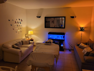 Stéphanie Lamaud - Ô coeur de l'éveil gaïa à Aubais
