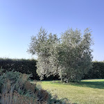 Photo n°29 de l'avis de Massimiliano. fait le 30/07/2021 à 19:23 sur le  Locanda Poggioleone|Hotel e Ristorante Lago Trasimeno à Pozzuolo