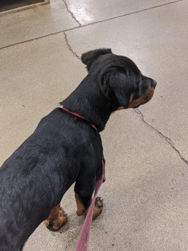 Pet Supply Store «PetSmart», reviews and photos, 1140 W Elliot Rd, Tempe, AZ 85284, USA