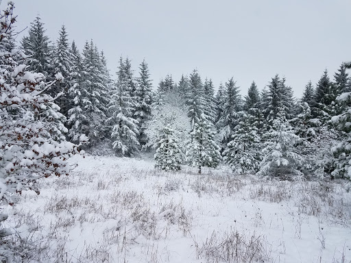 Park «Cooper Mountain Nature Park», reviews and photos, 18892 SW Kemmer Rd, Beaverton, OR 97007, USA