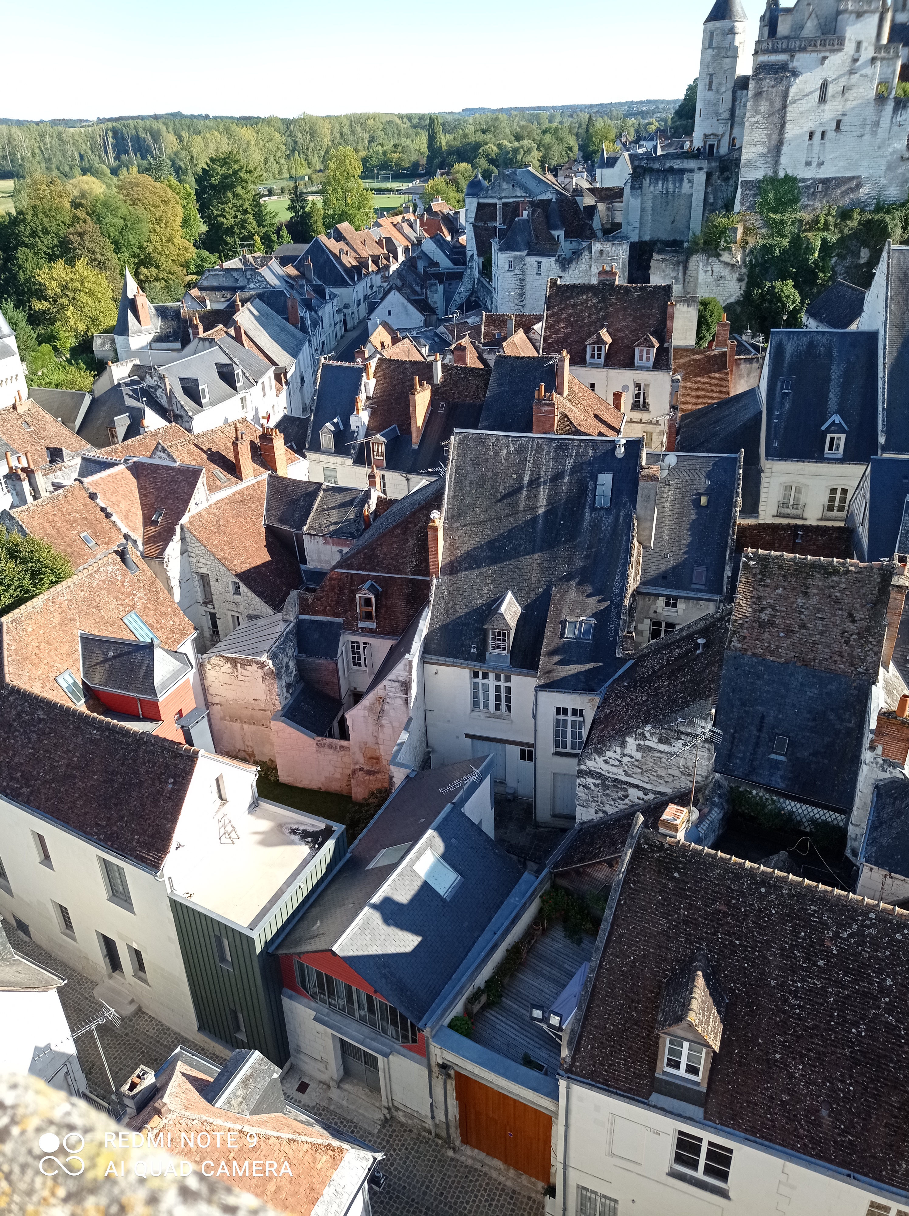 Photo n° 1 de l'avis de Anne.l fait le 14/10/2022 à 08:34