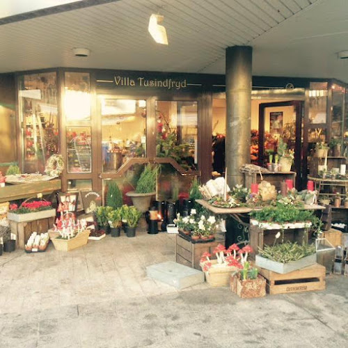 Villa Tusindfryd - Ølstykke-Stenløse