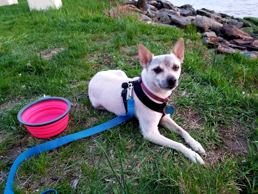 Park «Fort Washington Park», reviews and photos, Hudson River Greenway, New York, NY 10032, USA