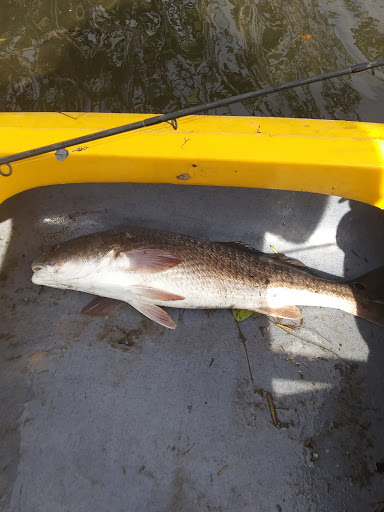 Memorial Park «Grace Memorial Gardens & Funeral Home», reviews and photos, 16931 US-19, Hudson, FL 34667, USA