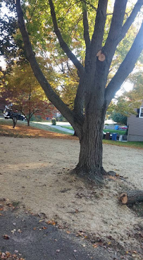 Matty L's Lawn and Tree Care - Photo 4 - Car repair in , Danbury
