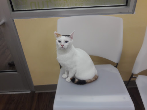 Pet Supply Store «PetPeople», reviews and photos, 3330 Washtenaw Ave, Ann Arbor, MI 48104, USA