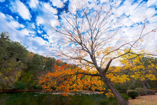 Cemetery «Crest Lawn Memorial Park», reviews and photos, 2000 Marietta Blvd NW, Atlanta, GA 30318, USA